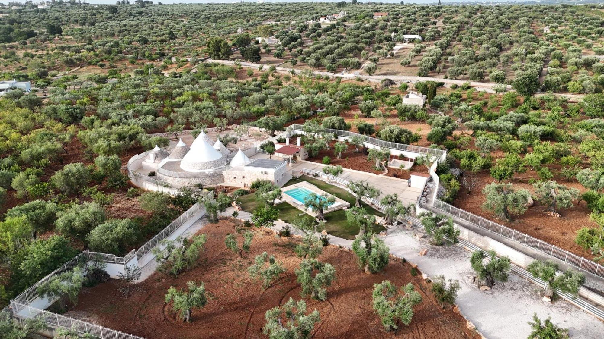 Trulli Lisanna - Apulian Hideaway With Pool Apartment Antonelli Exterior foto